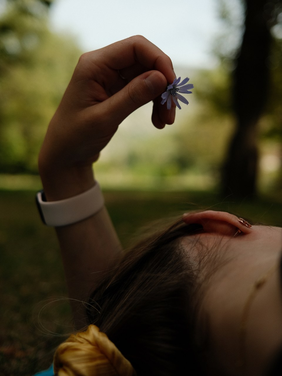 Person lying down holding a wildflower above their face