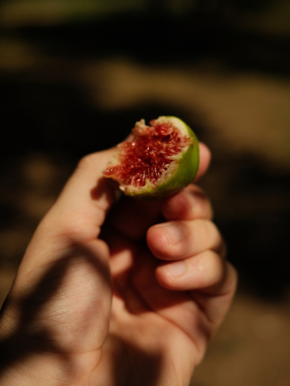 Hand holding an opened fig, crimson pulp against a dark background
