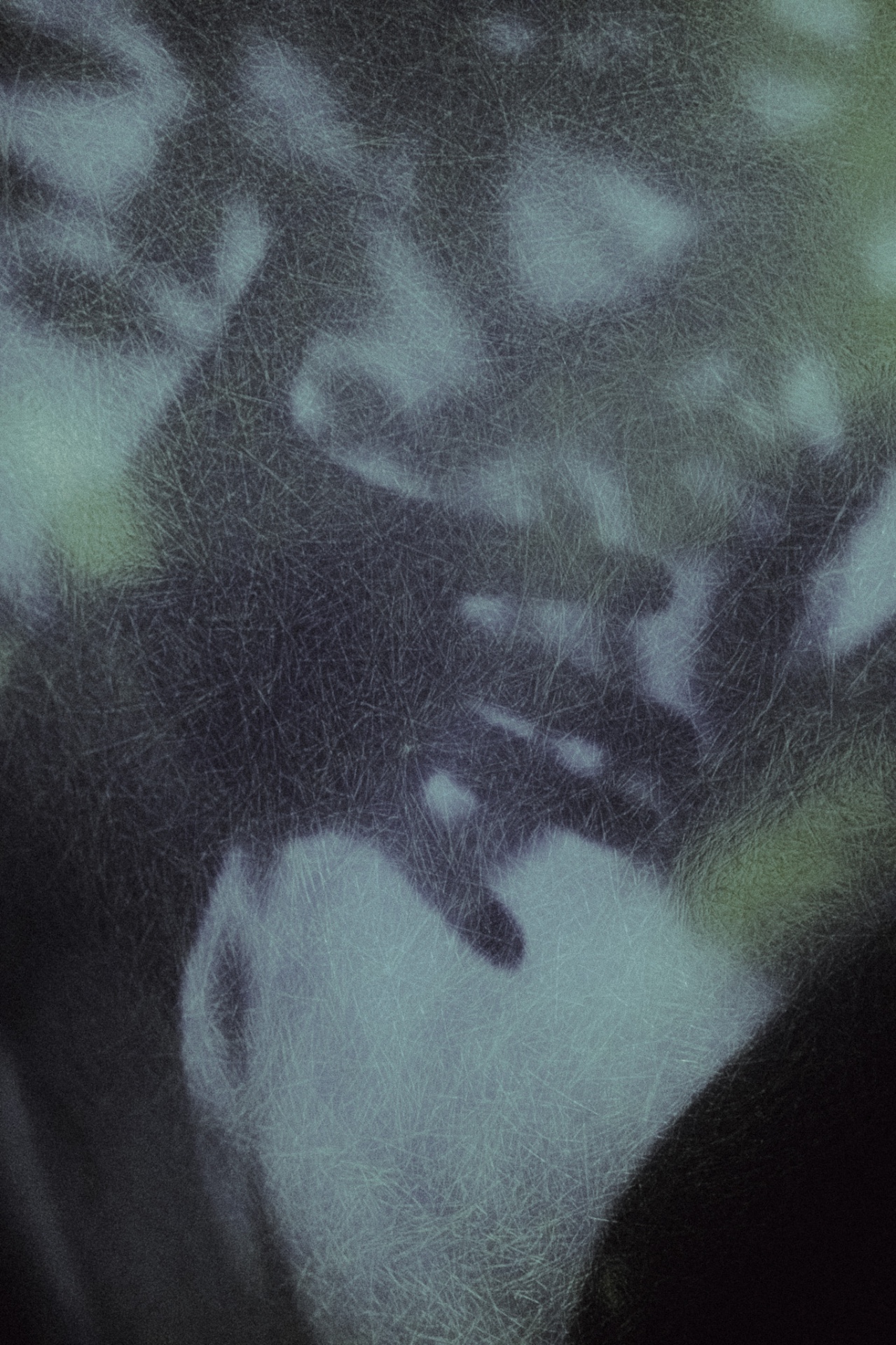 Shadow of a hand and leaves cast on a fibrous surface