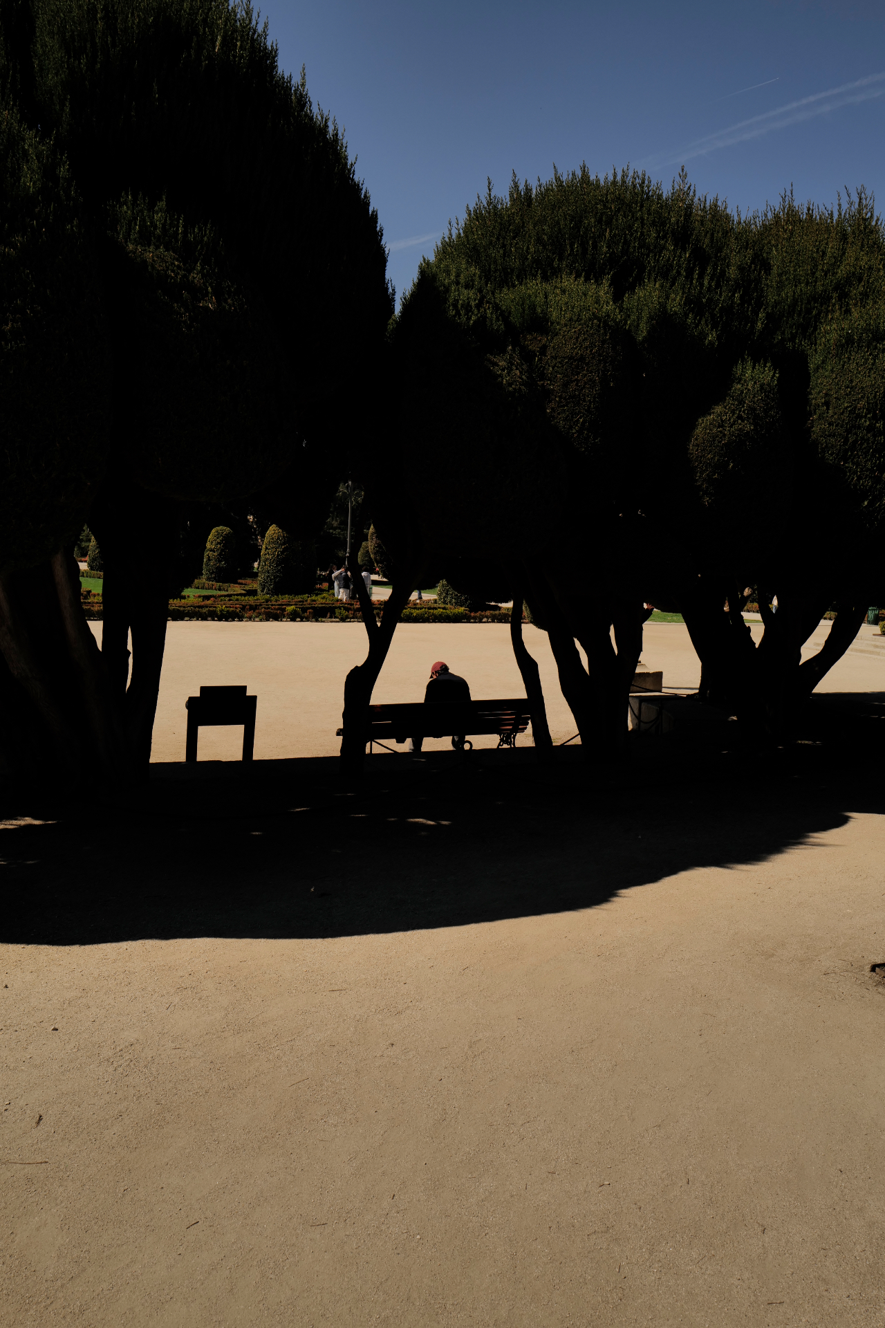 Person resting on a bench beneath dark trees in a sunlit park